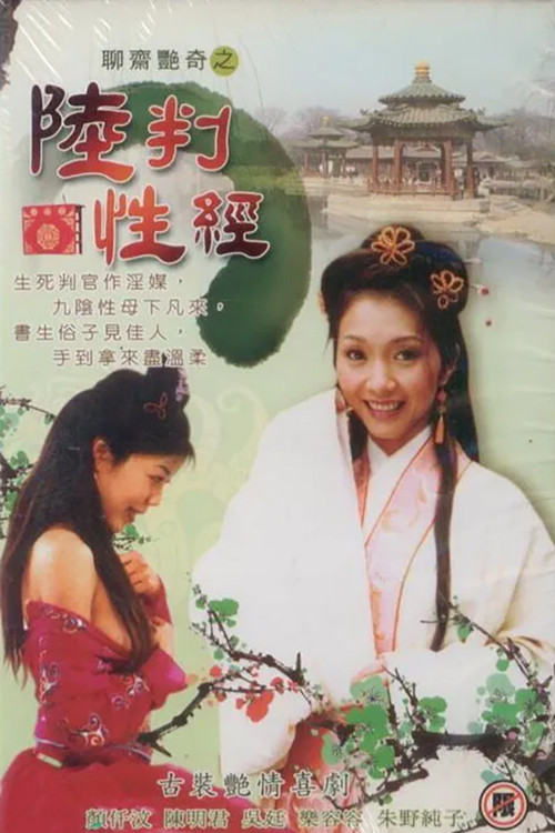 Erotic Agent poster