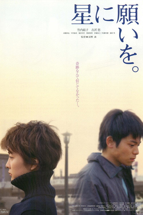 Night of the Shooting Stars poster