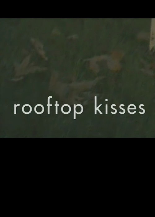 Rooftop Kisses poster