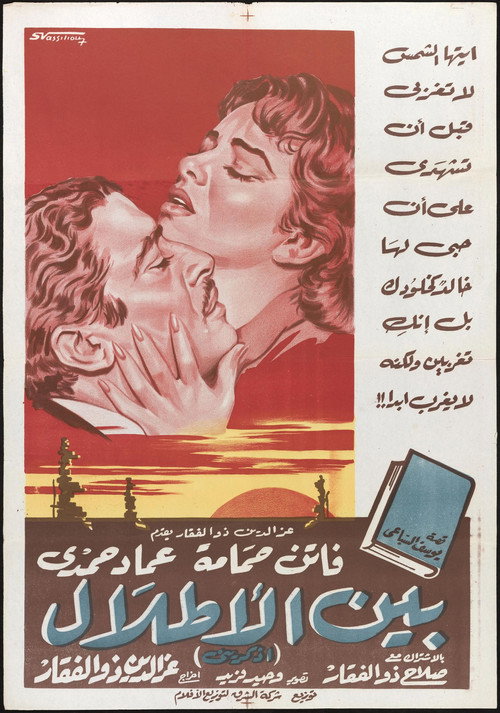Among the Ruins poster