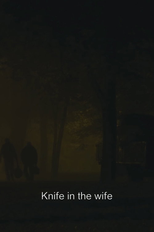 Knife in the Wife poster