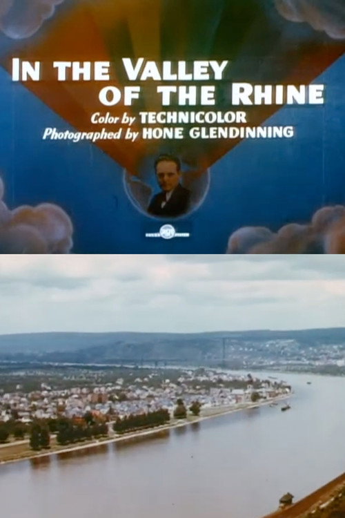 In the Valley of the Rhine poster