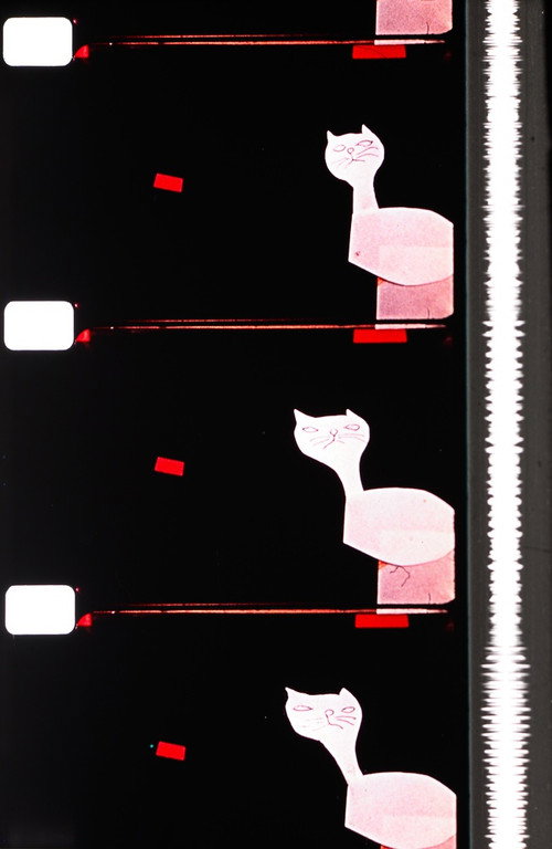 Cats poster