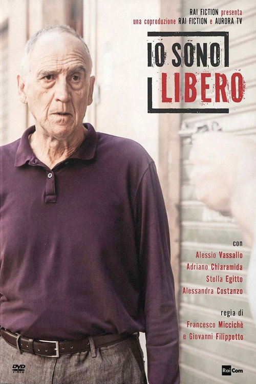Libero poster