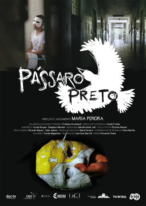 Pássaro preto poster