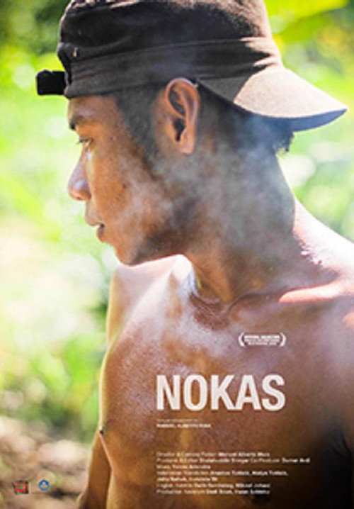 Nokas poster