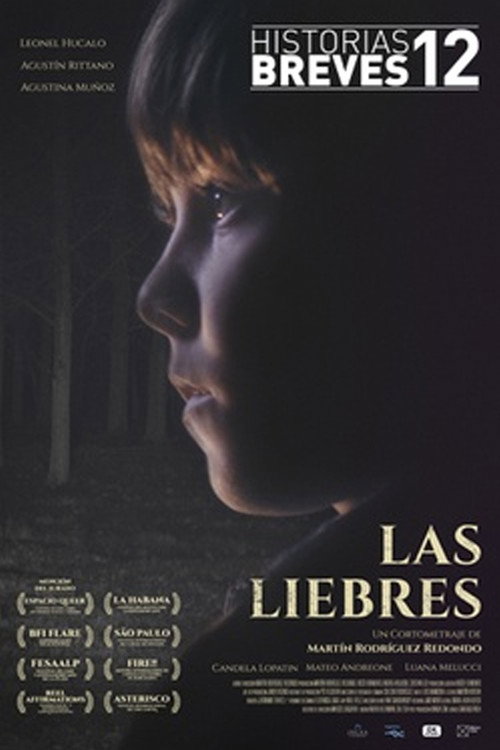 The Hares poster