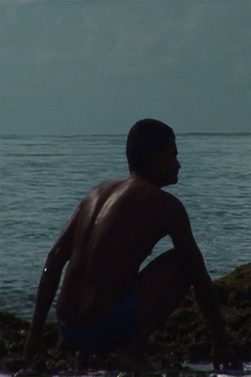 O Homem-Peixe poster