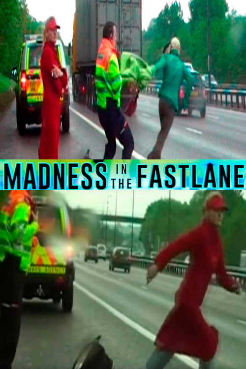 Madness in the Fast Lane poster