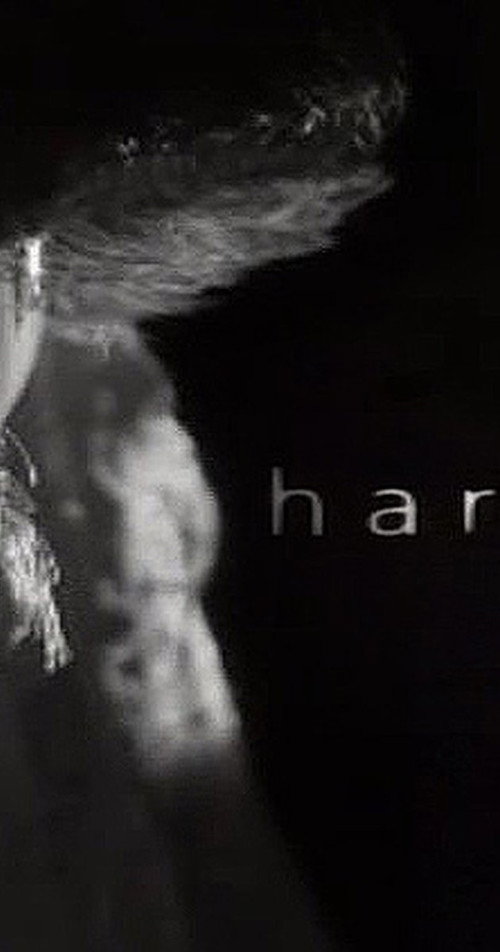 Harvey poster