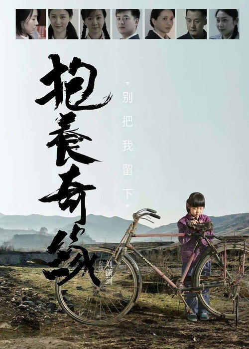 抱养奇缘 poster