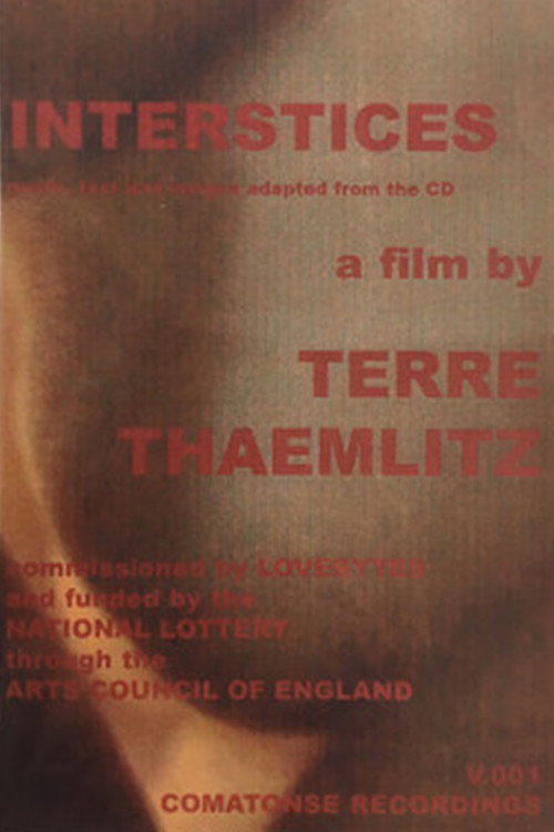 Interstices poster