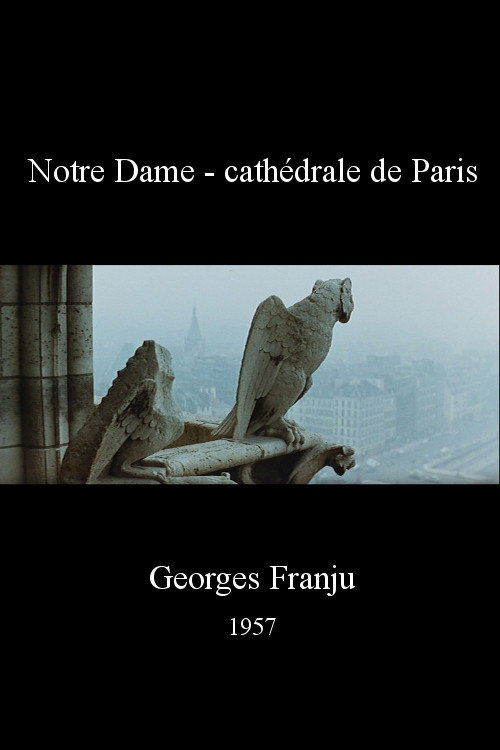Notre Dame, cathédrale de Paris poster