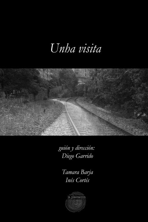Unha visita poster