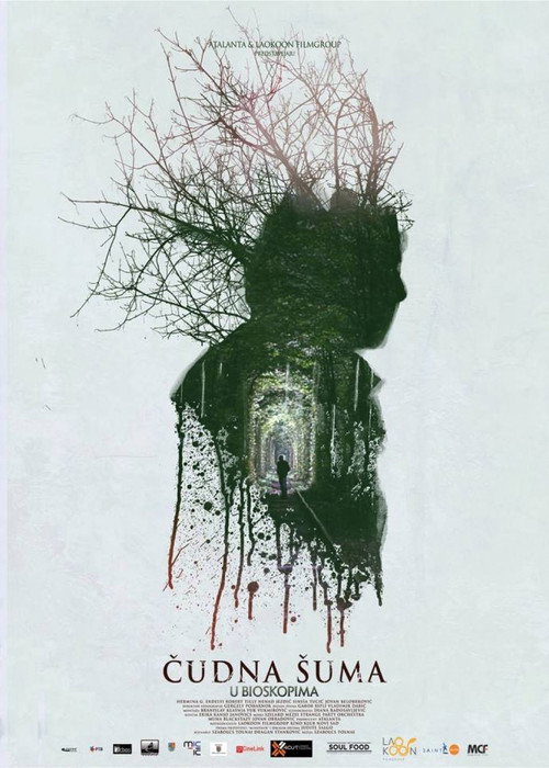 Strange Forest poster