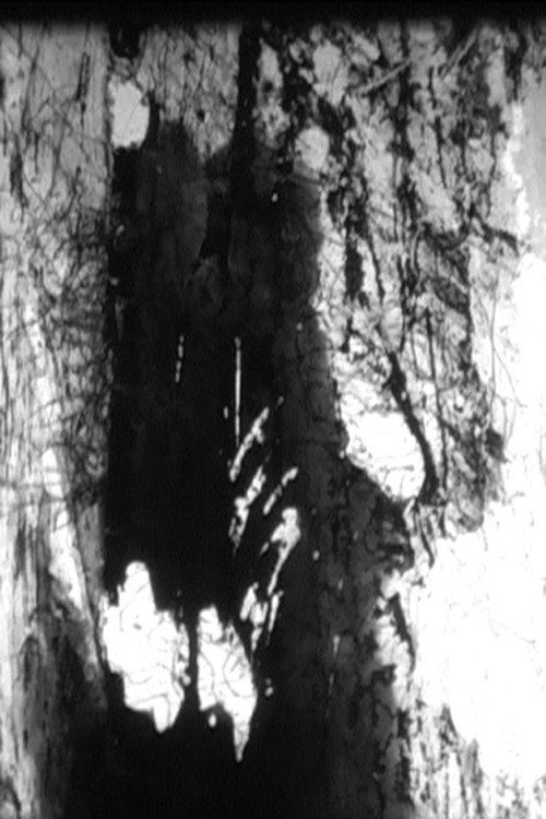 Elez poster