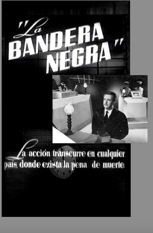 The Black Flag poster