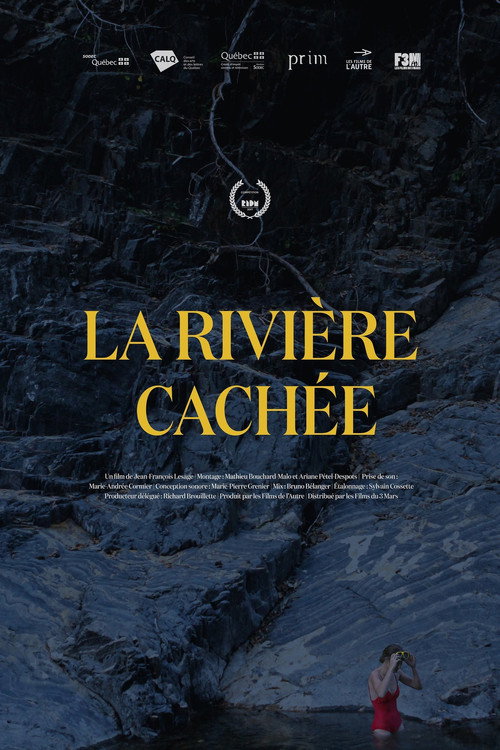 The Hidden River poster