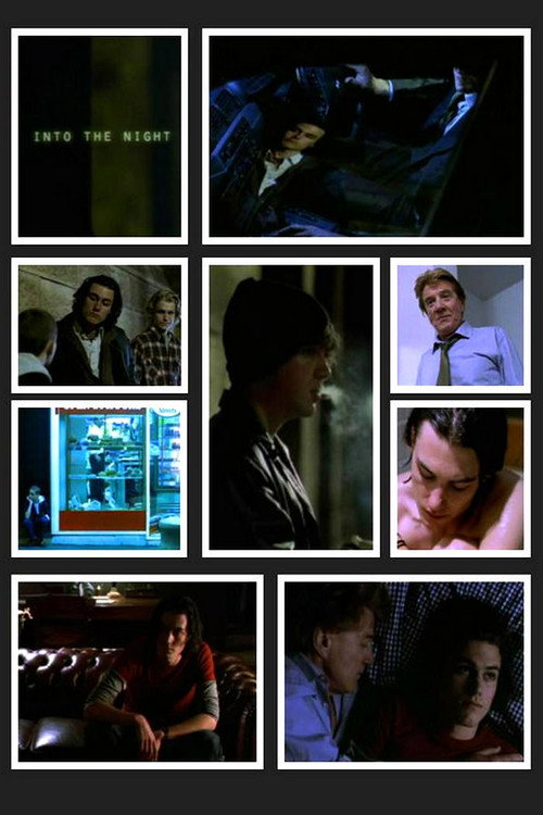 Into the Night poster