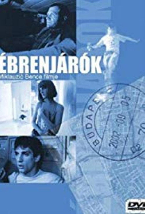 Streetwalkers poster