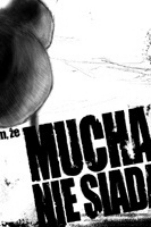 Film, że mucha nie siada poster