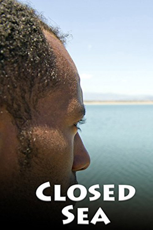 Mare chiuso poster