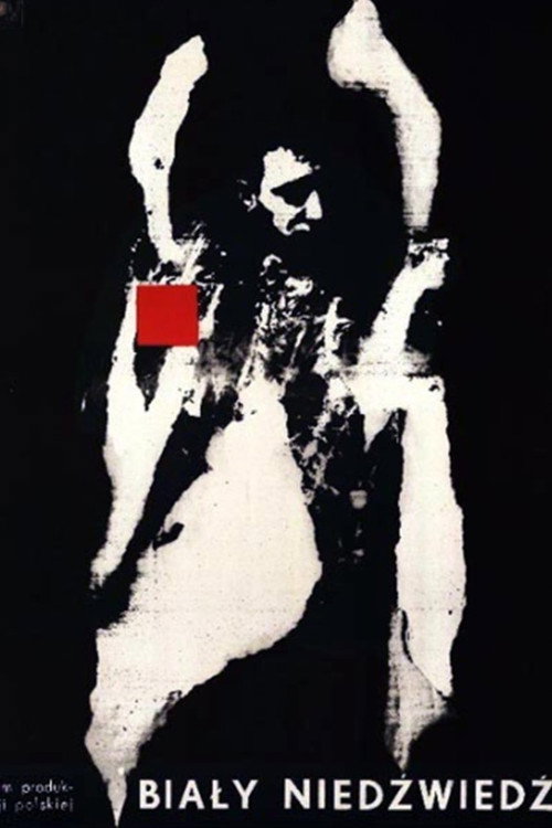 Polar Bear poster