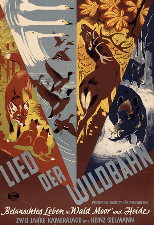 Lied der Wildbahn poster