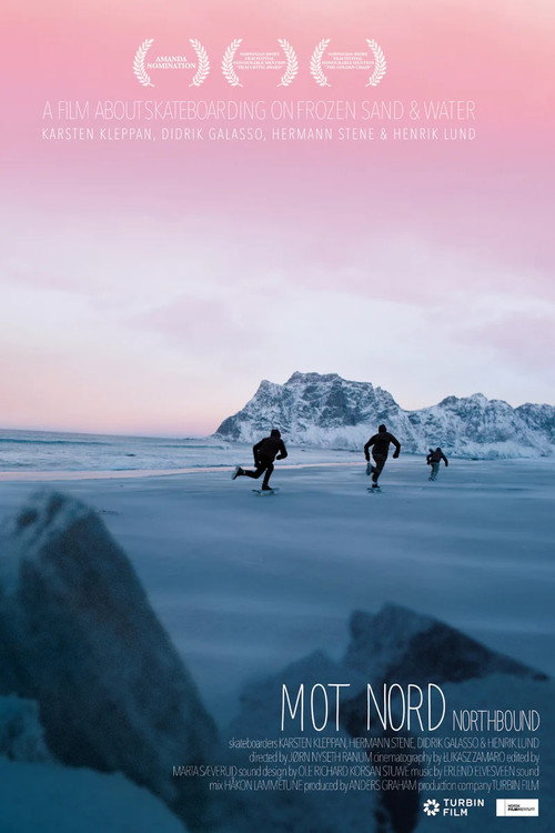 Northbound: Skateboarding on Frozen Sand poster