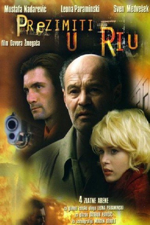 A Winter in Rio poster