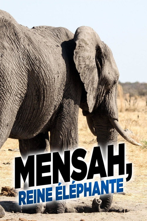 Elephant Queen poster