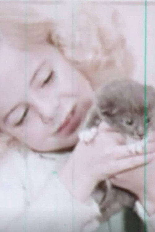 Kittens: Birth and Growth poster