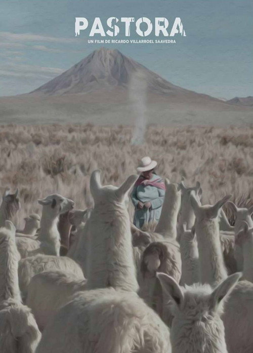 Andean Sheperdess poster