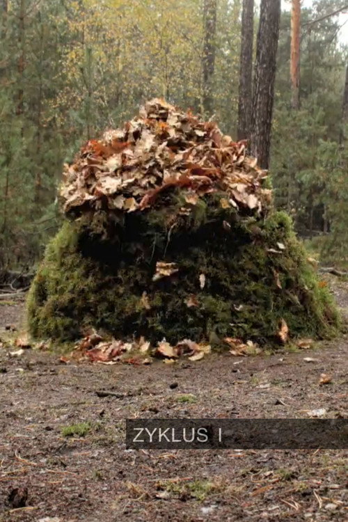 Zyklus I poster