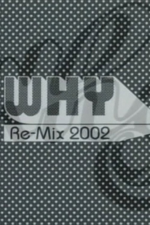 Why Re-Mix poster