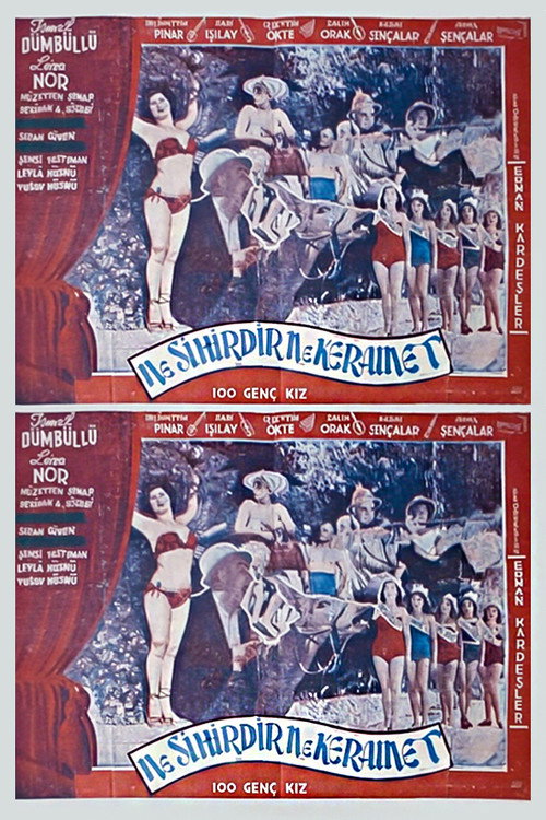 Sim Sala Bim poster