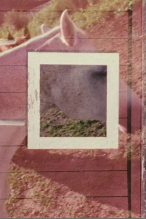 Stable poster
