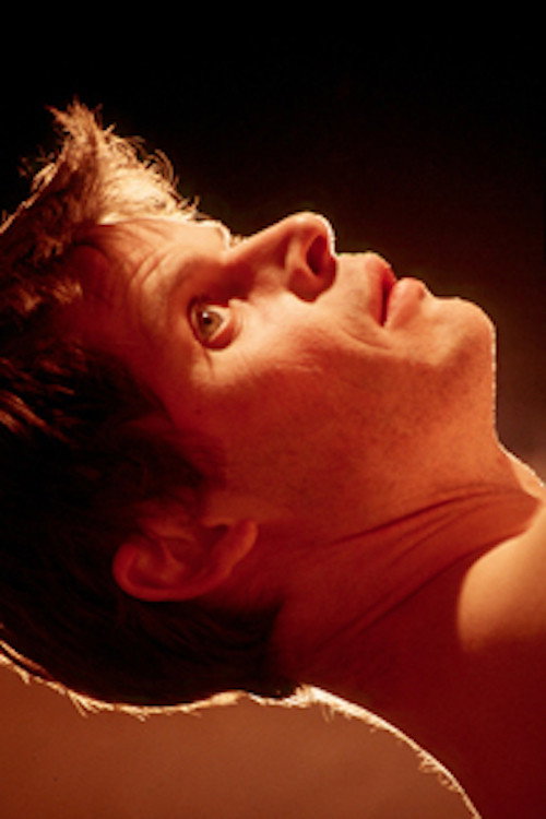 The Victim poster