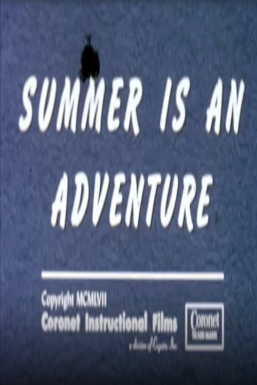 Summer Is An Adventure poster