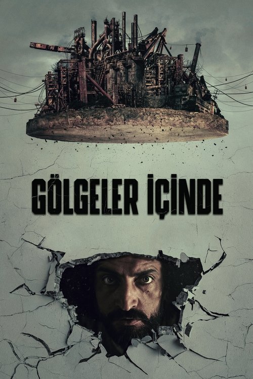 In the Shadows poster