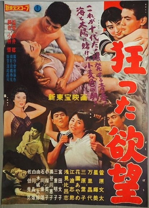 Crazy Desire poster