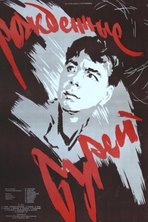 Born of the Storm poster