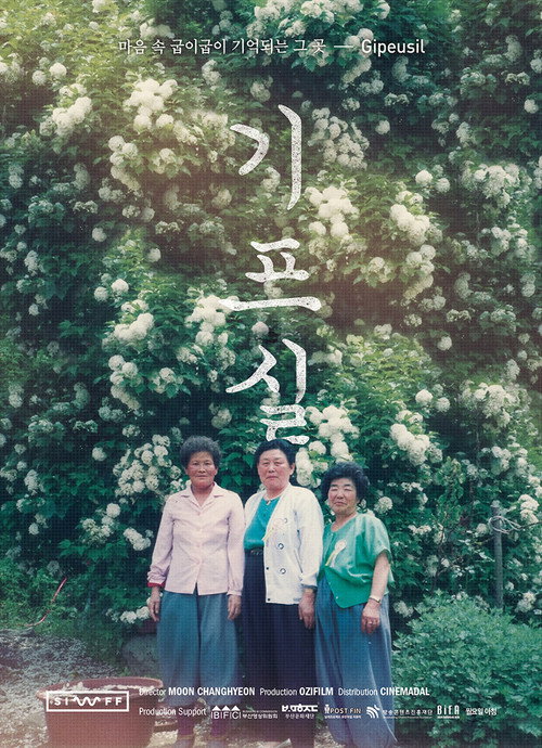 Gipeusil poster