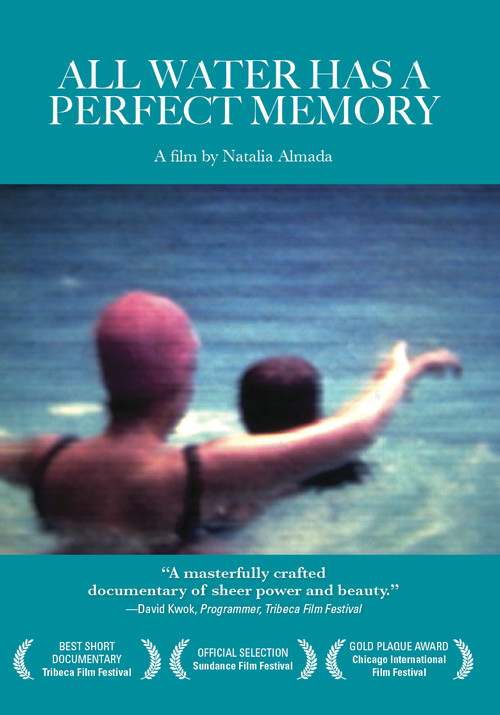 All Water Has a Perfect Memory poster