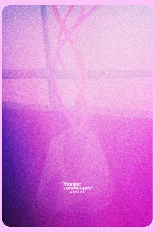 Maniac Landscapes poster