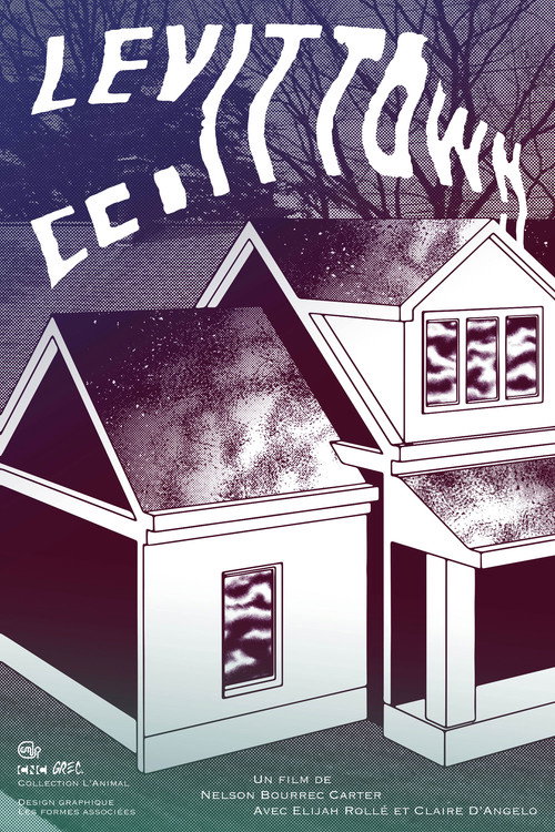 Levittown poster