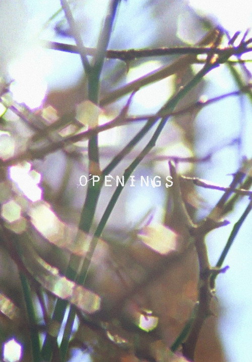 Openings poster