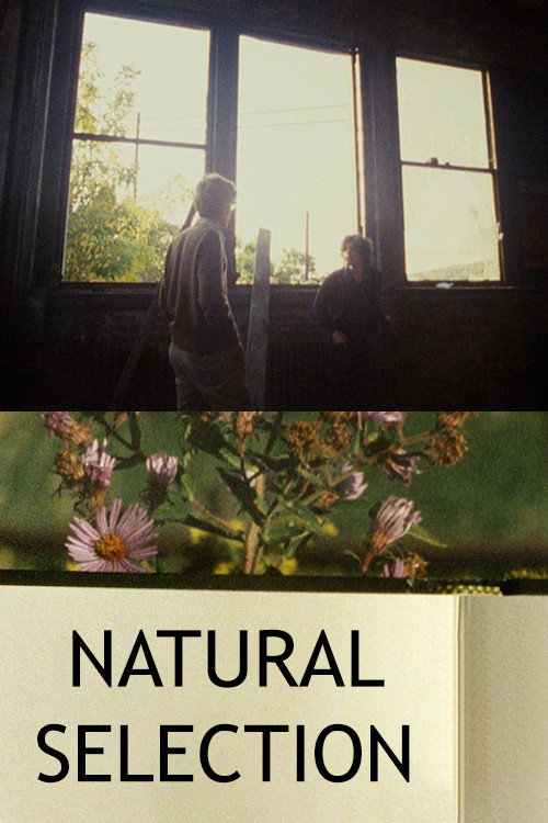 Natural Selection poster