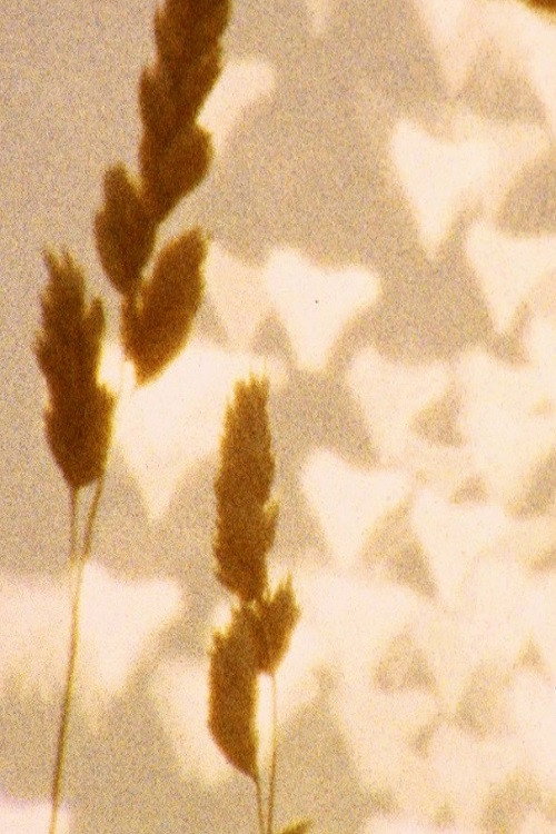 untitled (august) poster