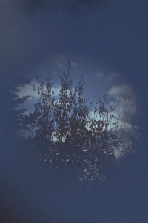 Within poster